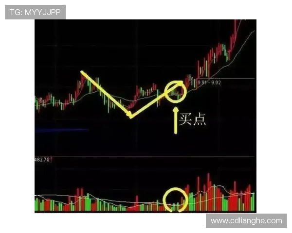 南京极限运动队快攻战术解析与实战应用探讨