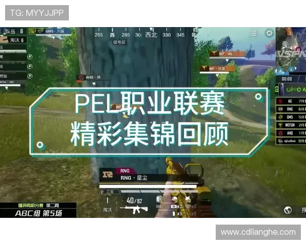 和平精英专题深入解析RNG战队的游戏节奏与战术策略