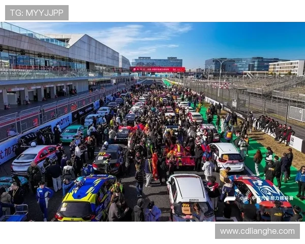 成都排球队与北京排球队耐力对决赛后分析与总结