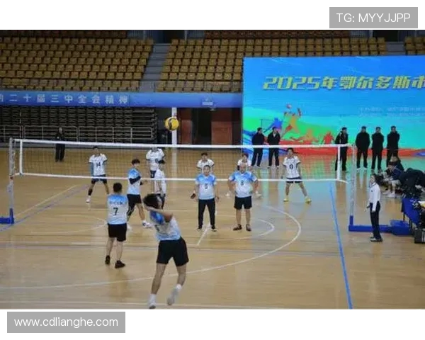 排球盛宴：深入分析成都排球队员的个人技术与战术素养