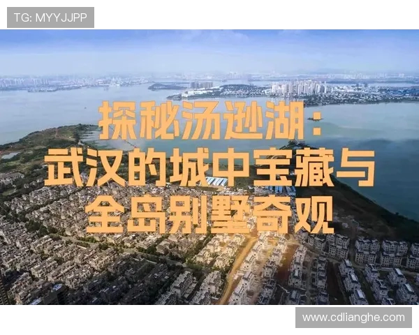 武汉极限运动队的防反策略探秘与热点分析