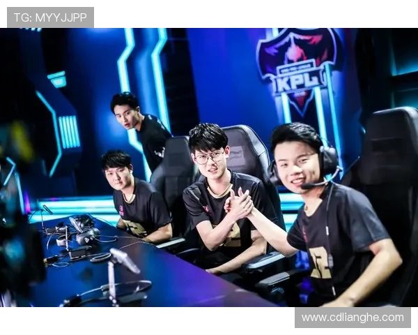 王者荣耀深度解析RNG战队盯防策略与战术运用揭秘