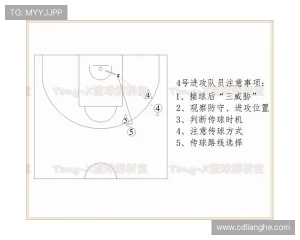 探寻篮球竞技魅力与团队协作精神及战术演变历史传承全景深度解析
